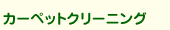 カーペットクリーニング